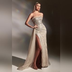 Formal dress,silver nude fitted long floor length gown